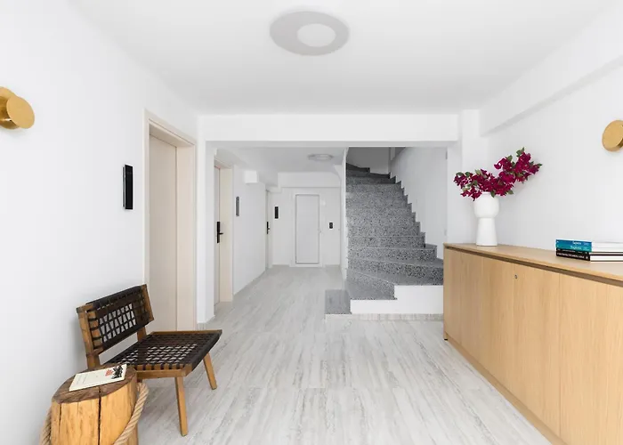 Solis Ortus Adults 16Plus